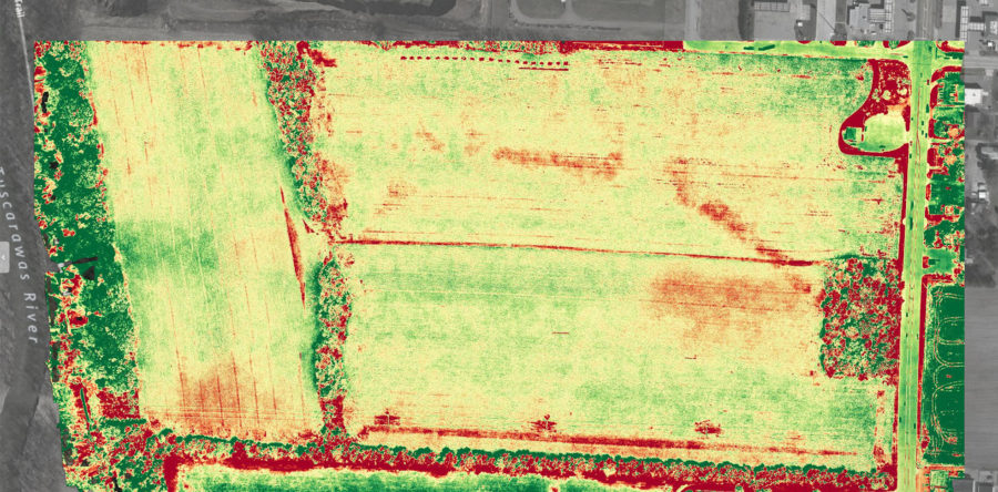 Agricultural Inspections