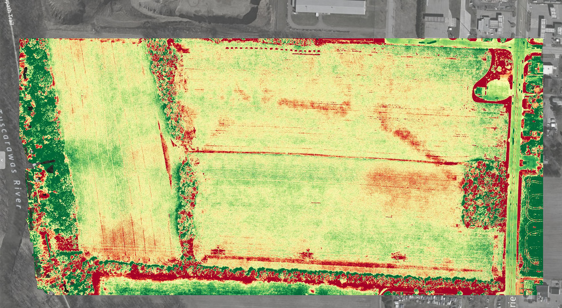 Agriculture Agriculture